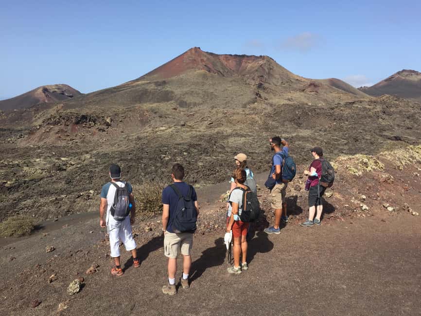 Lanzarote: Guided Hike discover volcano history and culture - Plants that learned to live on bare ground
