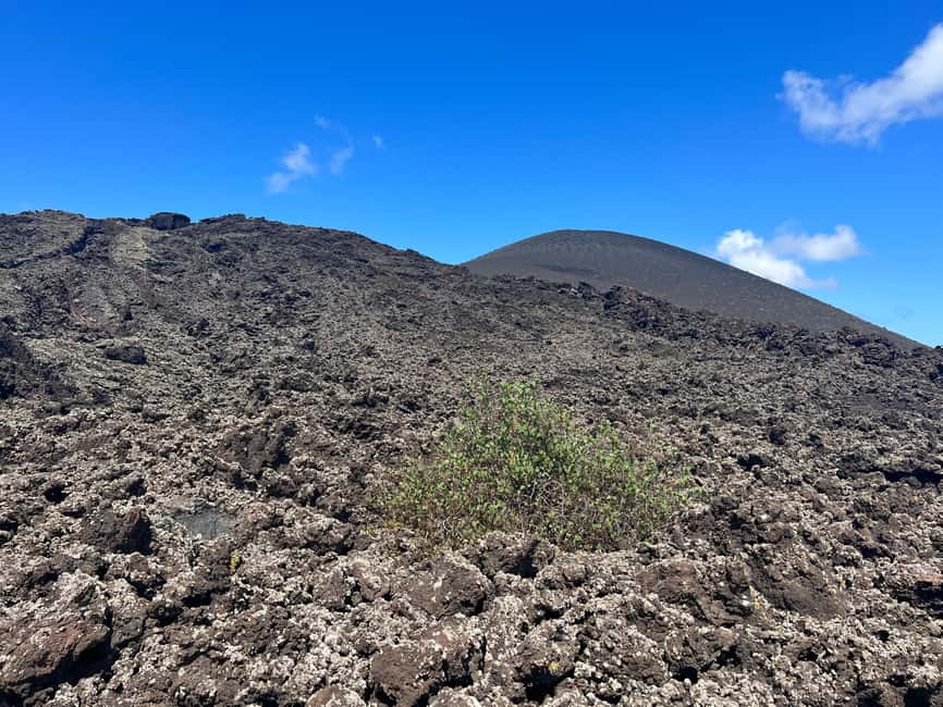 Lanzarote: Guided Hike discover volcano history and culture - Stories of settlers, legends, and living traditions