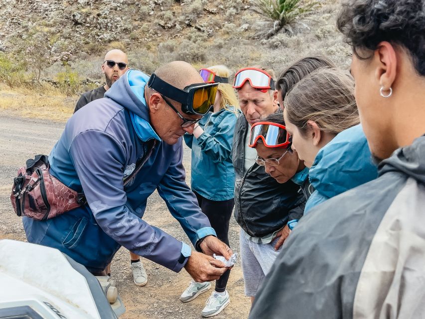 Lanzarote: Guided Off-Road Volcano Buggy Tour - From Costa Teguise to Lanzarote’s rough side