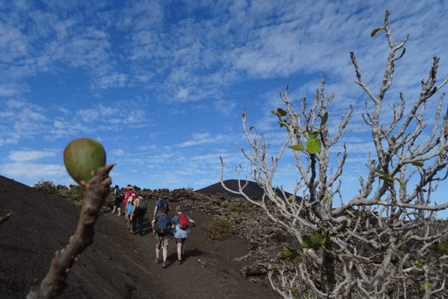Lanzarote: Hike Across Timanfaya's Volcanic Landscapes - Final verdict: book it for the guide and the ground underfoot