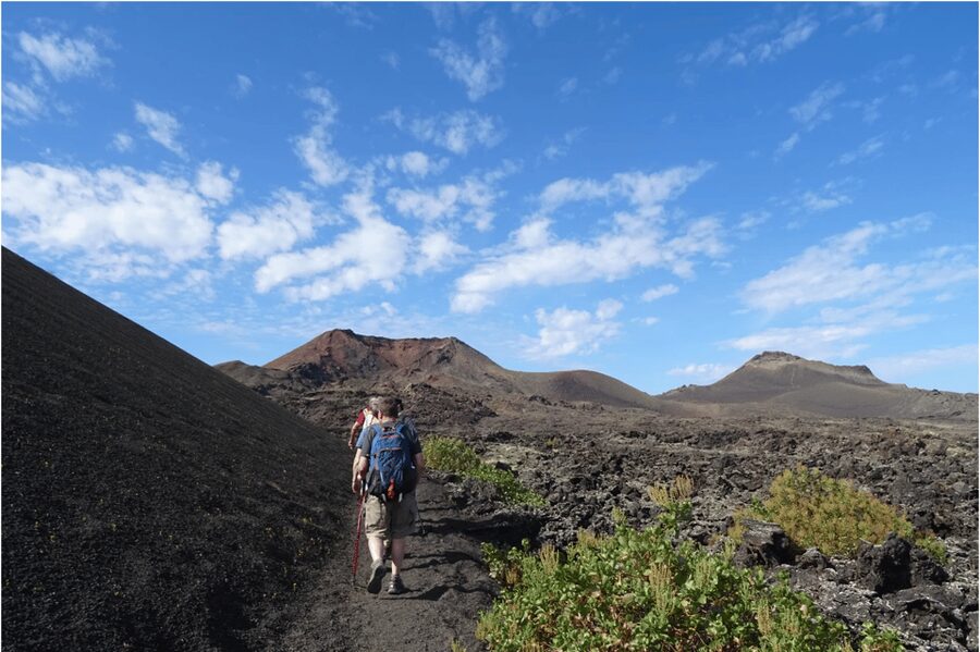 Lanzarote: Hike Across Timanfaya's Volcanic Landscapes - Craters, lava fields, and the best photo moments