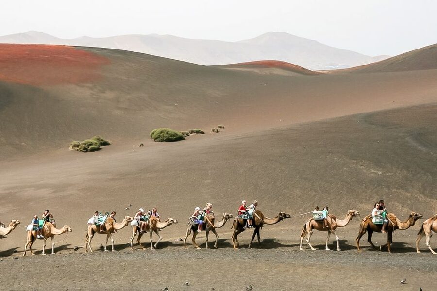 Lanzarote: Timanfaya National Park Volcanic Craters Tour - Why Timanfaya feels unlike the rest of Lanzarote