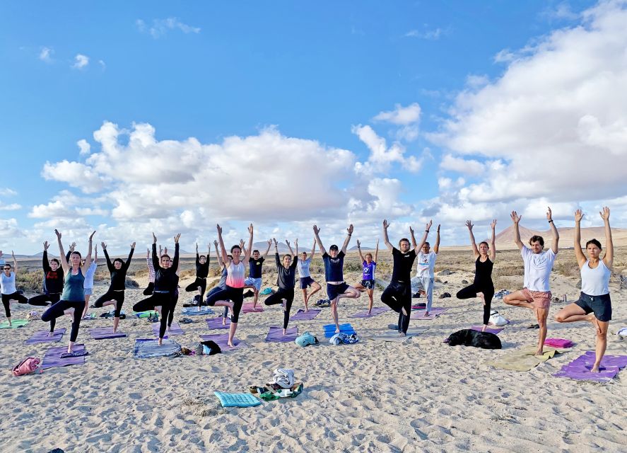 Lanzarote: Volcanic Yoga Session with Ocean Views - Choosing a slower or stronger practice