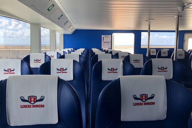Lanzarote Volcano and Wine Region Tour from Fuerteventura - Is the $100.17 price good value?