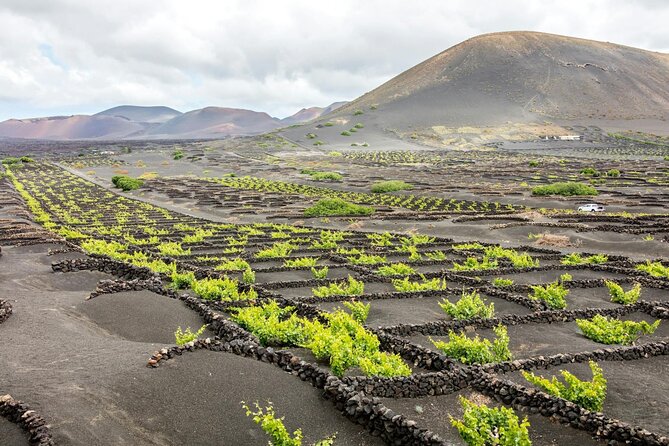 Lanzarote Volcanoes and Caves Tour from Fuerteventura - The early pickup and ferry across the Bocayna Strait