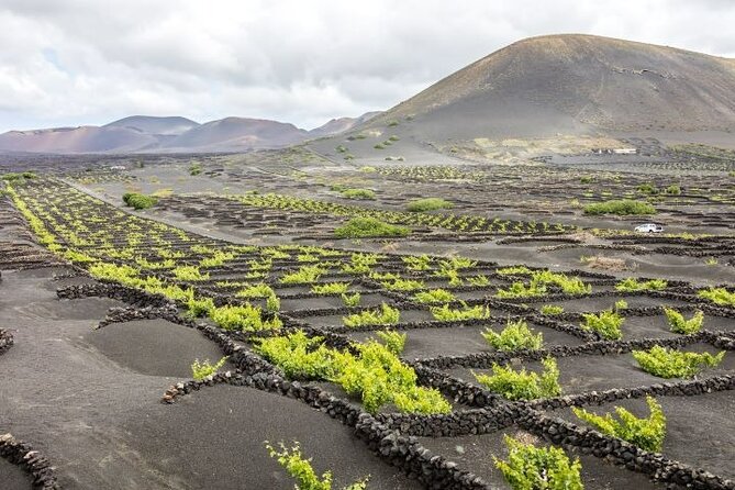 Lanzarote Volcanoes Tour departing from Fuerteventura - What the $87.83 price really covers