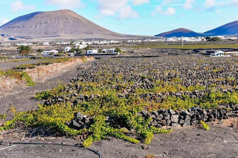 Lanzarote: Volcanos of Timanfaya and Caves Tour with Lunch - Guides, buses, and the practical rhythm