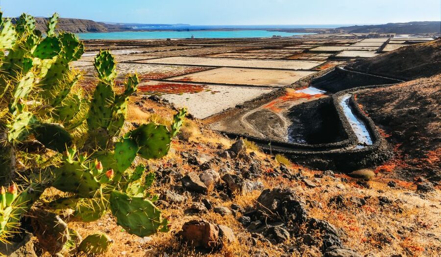 Lanzarote: Volcanos of Timanfaya and Caves Tour with Lunch - El Golfo and the green lagoon