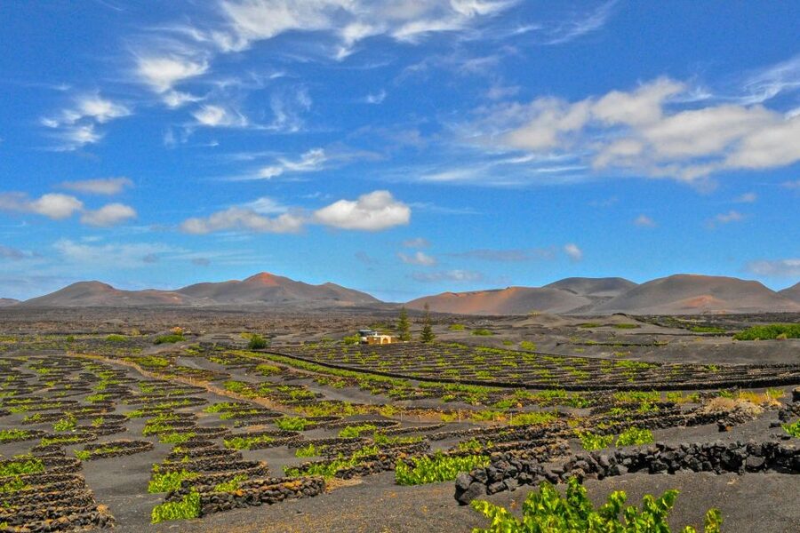 Lanzarote: Volcanos of Timanfaya and Caves Tour with Lunch - The southern coast: Janubio and Los Hervideros