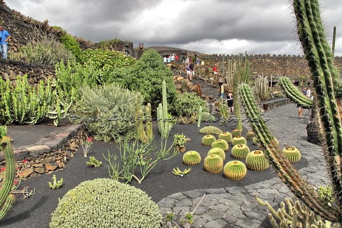 Las Palmas, Botanical Garden & Bandama Crater tour - Gran Canaria - Caldera de Bandama: A Short Stop Above a Volcanic Bowl
