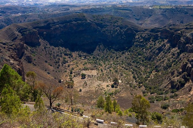 Las Palmas, Botanical Garden & Bandama Crater tour - Gran Canaria - Jardin Botanico Viera y Clavijo: Plants in a Tight 45 Minutes