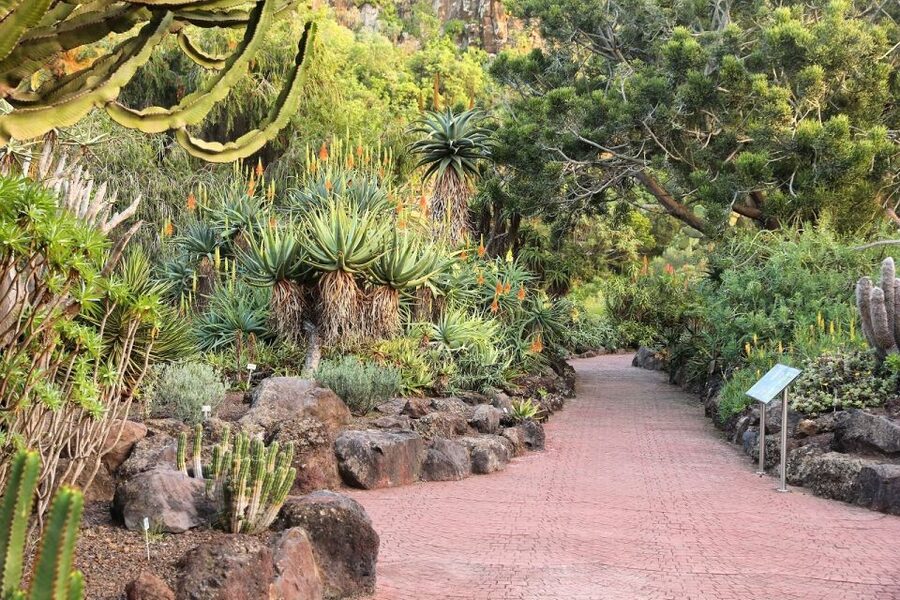 Las Palmas, Botanical Gardens and Bandama Volcano Tour - Deciding on Poema del Mar