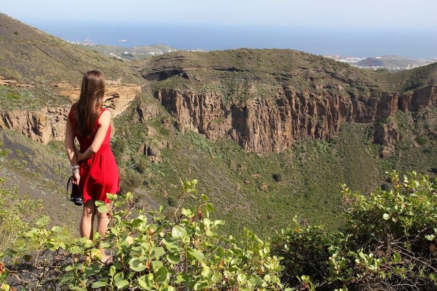 Las Palmas, Botanical Gardens and Bandama Volcano Tour - Transport, group size, and the day’s pace