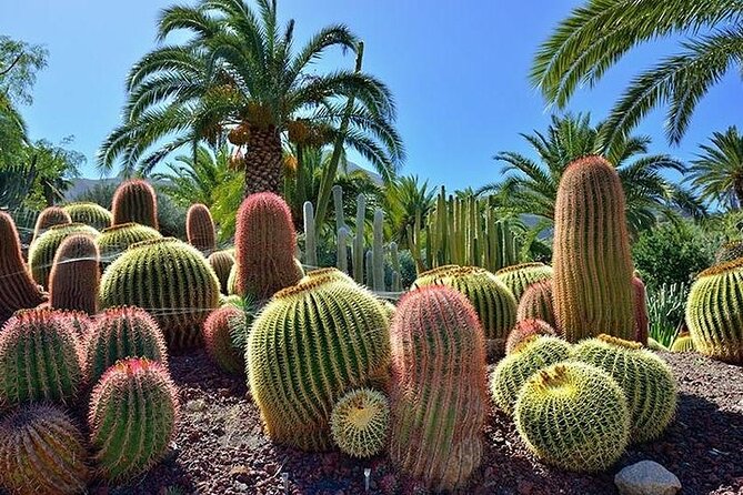 Las Palmas Tour: Vegueta, Botanical Garden & Bandama Crater - The pickup problem can shape your whole day