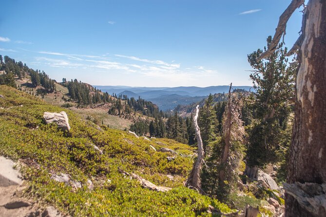 Lassen Volcanic National Park Self-Guided Audio Driving Tour - Lassen Peak and Kings Creek for active hikers