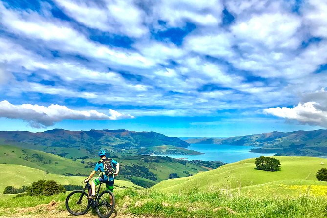 Lava Loop- Guided electric mountain bike tour in Akaroa - Key points at a glance