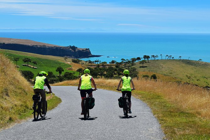 Lava Loop- Guided electric mountain bike tour in Akaroa - Reaching the volcanic crater rim