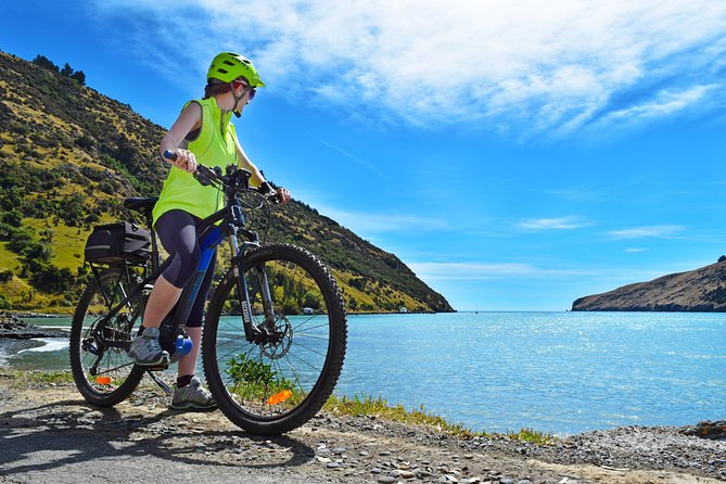 Lava Loop- Guided electric mountain bike tour in Akaroa - Descending with the harbour in view