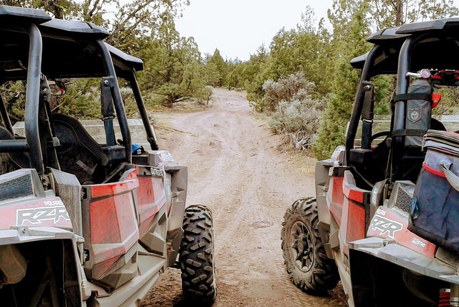 Lava Run Off-Road Adventure - Who will enjoy Lava Run most?