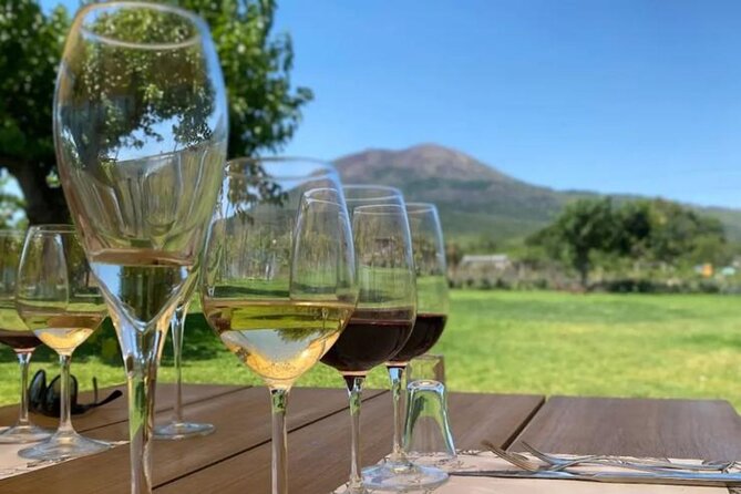 Lunch & Wine Tasting in the National Park of Mt Vesuvius - Starting at Via Plinio 46 in Pompeii