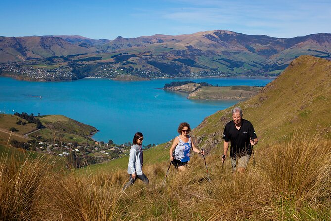 Luxury Private Guided Crater Rim Walk on Banks Peninsula - Key points to know before booking