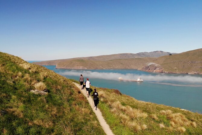 Luxury Private Guided Crater Rim Walk on Banks Peninsula - Why this half-day outing works well from Christchurch