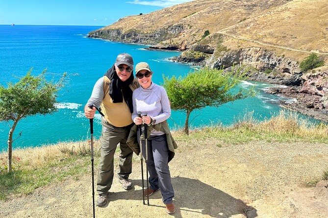 Luxury Private Guided Crater Rim Walk on Banks Peninsula - What the private guide adds