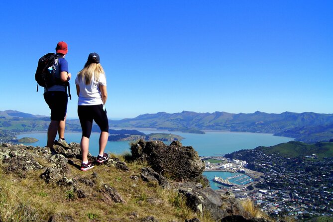 Luxury Private Guided Crater Rim Walk on Banks Peninsula - Lunch, drinks, and equipment included