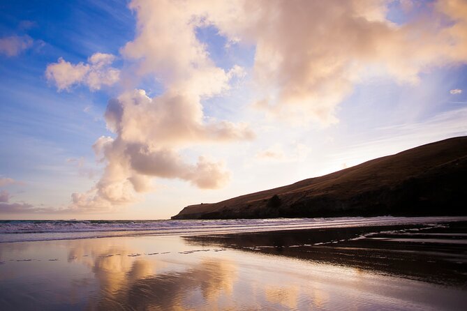 Luxury Private Guided Crater Rim Walk on Banks Peninsula - Is €301.04 per person good value?