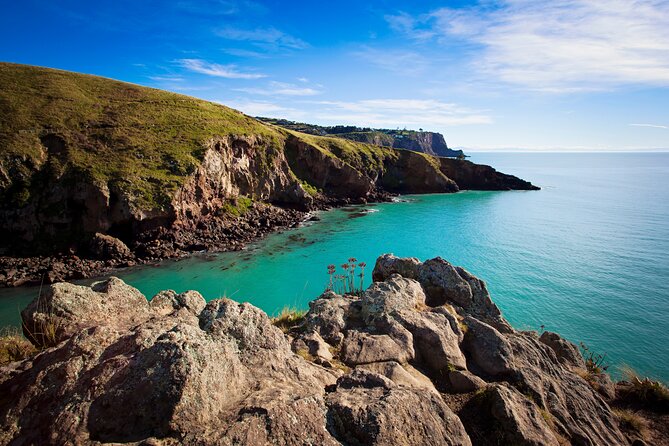 Luxury Private Guided Crater Rim Walk on Banks Peninsula - Who should book this Banks Peninsula walk?