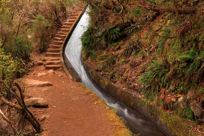 Madeira 4x4 Jeep Safari : Porto Moniz, Lava Pools & Fanal Forest - Why this 4x4 day works well in Madeira
