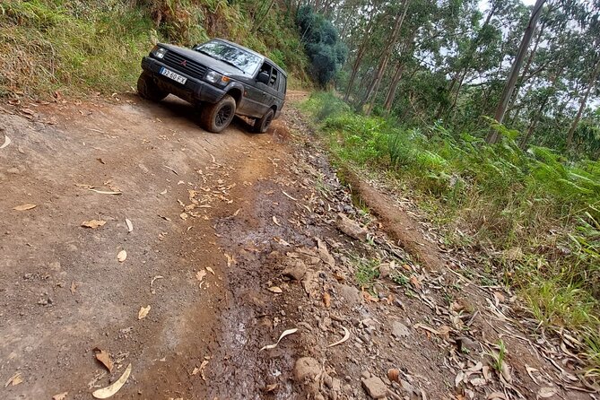 Madeira 4x4 Jeep Safari : Porto Moniz, Lava Pools & Fanal Forest - Ribeira Brava, Ponta do Sol, and the south coast