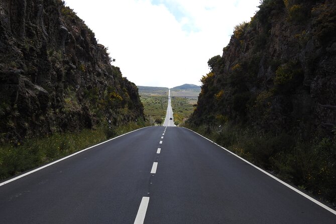 Madeira 4x4 Jeep Safari : Porto Moniz, Lava Pools & Fanal Forest - Fanal Forest and its old trees