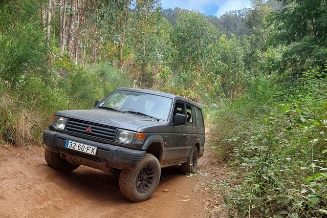 Madeira 4x4 Jeep Safari : Porto Moniz, Lava Pools & Fanal Forest - Cabo Girão and the glass platform