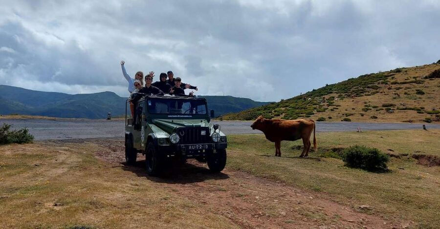 Madeira West Safari - The natural lava pools of Porto Moniz - Why this west Madeira Jeep tour works