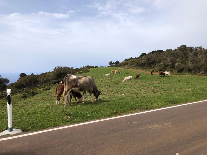 Madeira West Safari - The natural lava pools of Porto Moniz - Waterfalls and Seixal’s black sand beach