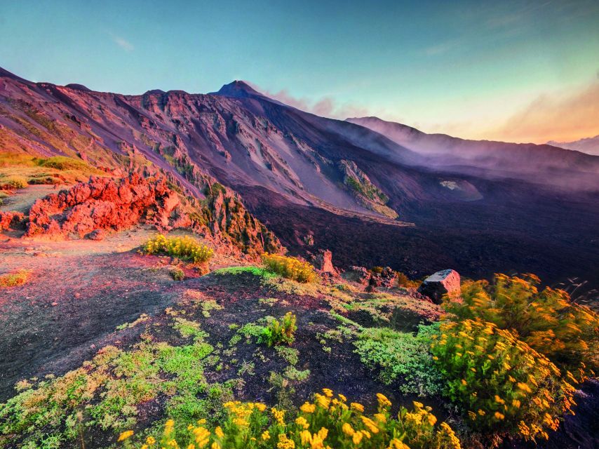 Malta: Mount Etna and Taormina Guided Day Trip by Catamaran - Key points to know before you book