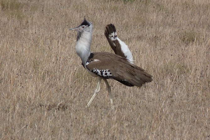 Manyara and Ngorongoro Crater - What the $870 price covers