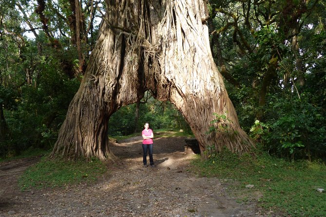 Manyara and Ngorongoro Crater - Meals, lodging, and the practical side