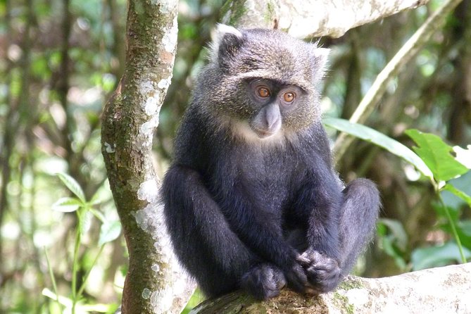 Manyara and Ngorongoro Crater - Group size, pace, and comfort