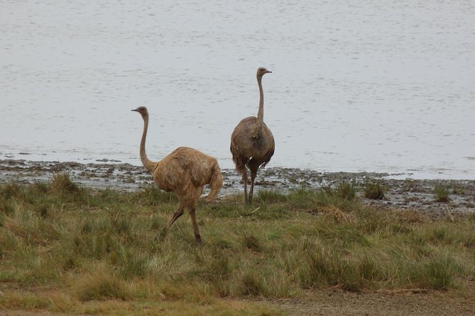 Manyara and Ngorongoro Crater - Booking and cancellation details