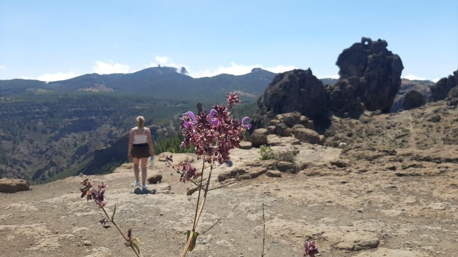 Maspalomas: Roque Nublo - hiking on volcanoes by Sky Rebels - Who will enjoy this outing most