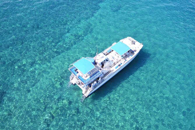 Maui Magic Adventure Snorkel: Molokini Crater and Turtle Stop - When the $213.41 Price Makes Sense