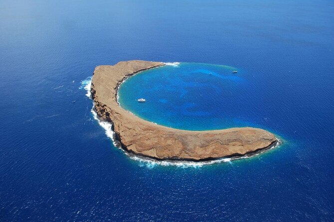 Maui: Molokini and Turtle Town Snorkeling aboard Pride of Maui - The essential facts at a glance