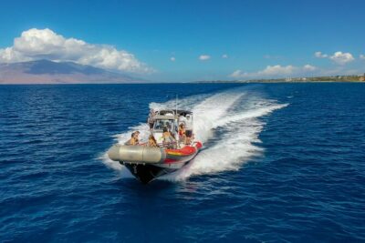 Molokini Crater and Turtle Town Snorkeling From Kihei