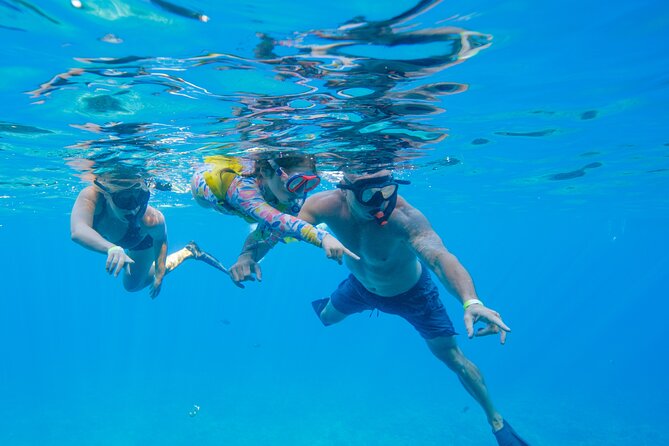 Maui: Molokini Crater and Turtle Town Snorkeling From Kihei - Is $179 a fair price?