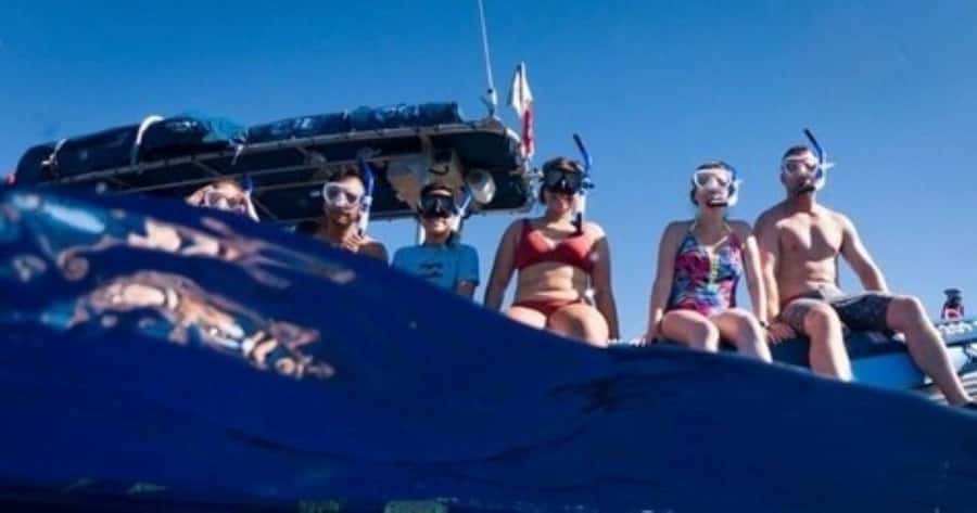 Maui: Molokini Crater and Turtle Town Snorkeling Tour - 3 hr - Key points to know before booking