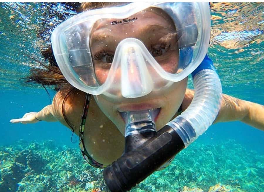 Maui: Molokini Crater and Turtle Town Snorkeling Tour - 3 hr - The Turtle Town stop brings a different kind of wildlife