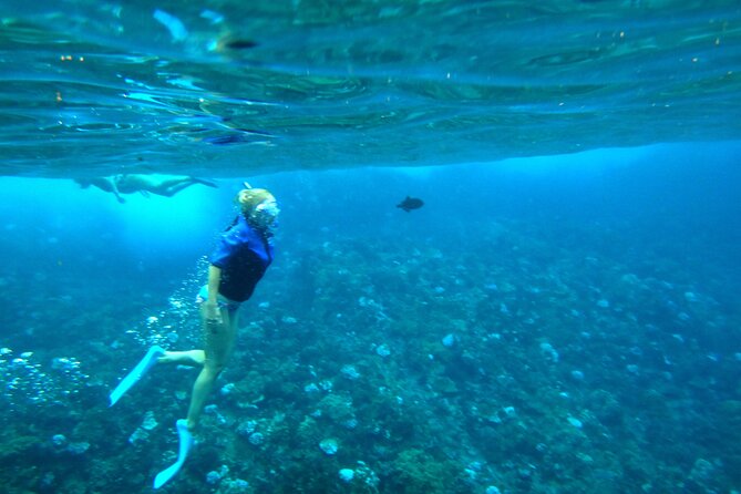 Maui: Molokini & Turtle Town Snorkel & Waterslide Adventure - Turtle Town: A Second Look Beneath the Surface