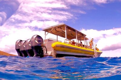 Maui Snorkel Adventure: Molokini Crater and Turtle Cove